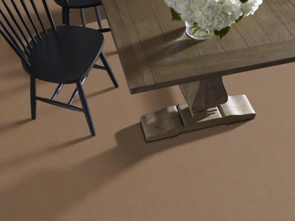 TUFTEX  PERFECT CHOICE MYSTIC BROWN ZZ064-00775 Room Scene