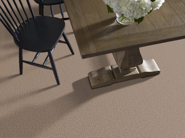 TUFTEX  FETCH RUSSET ZZ074-00614 Room Scene