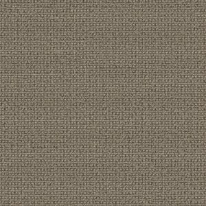 TUFTEX  FETCH DESERT PALM ZZ074-00717