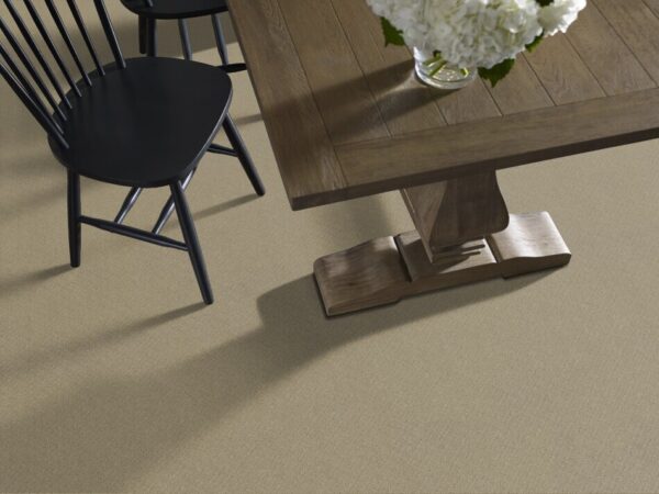 TUFTEX TUFTEX CLASSICS MOSAIC CORONADO ZZ076-00115 Room Scene