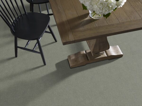 TUFTEX TUFTEX CLASSICS SKETCH PINE FOREST ZZ077-00314 Room Scene