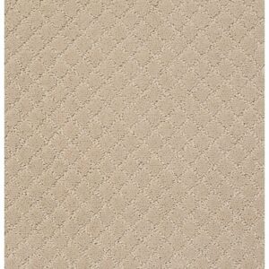 TUFTEX  PAWNACHE TOFFEE CREAM ZZ080-00183