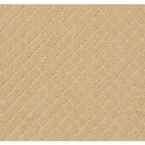 TUFTEX  PAWNACHE CORK ZZ080-00223