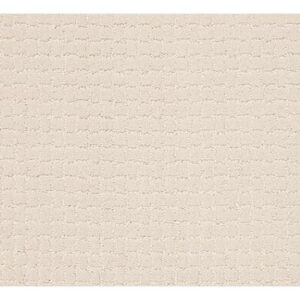 TUFTEX  PAWSTRUCK BARELY BEIGE ZZ081-00111