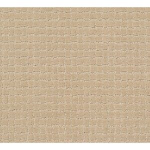 TUFTEX  PAWSTRUCK HAZELNUT ZZ081-00113