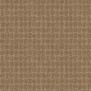 TUFTEX  PAWSTRUCK PEANUT SHELL ZZ081-00186