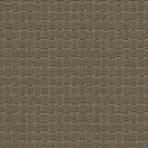 TUFTEX  PAWSTRUCK DRY SAGE ZZ081-00536