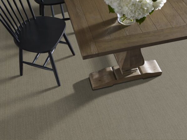 TUFTEX  PURRSUASION URBAN JUNGLE ZZ082-00355 Room Scene