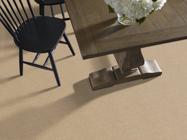 TUFTEX  FAUX PAW MONTEREY ZZ084-00115 Room Scene