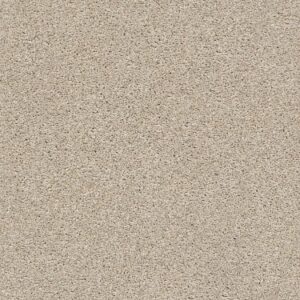 TUFTEX  THE BARK SIDE I ASPEN ZZ087-00111