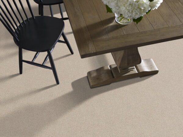 TUFTEX  THE BARK SIDE I ASPEN ZZ087-00111 Room Scene