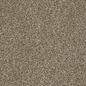 TUFTEX  THE BARK SIDE II MESA VIEW ZZ088-00717