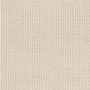 TUFTEX  TRULY DELIGHTFUL BLANK CANVAS ZZ094-00111