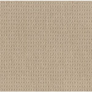 TUFTEX  TRULY DELIGHTFUL FINE SAND ZZ094-00173