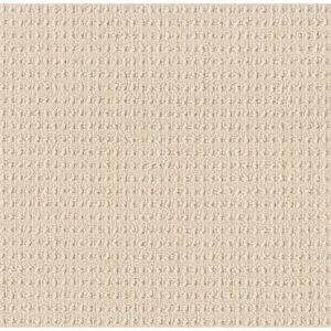 TUFTEX  TRULY DELIGHTFUL ALLURING ZZ094-00211
