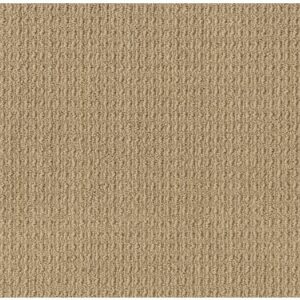 TUFTEX  TRULY DELIGHTFUL BUCKSKIN ZZ094-00215