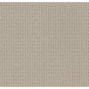TUFTEX  TRULY DELIGHTFUL HINT OF GRAY ZZ094-00571