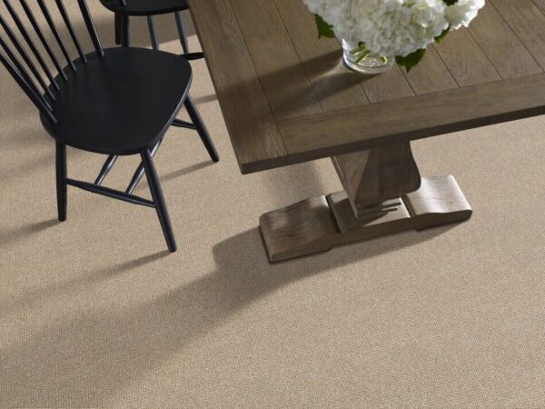 TUFTEX  PURRFECTION GREAT PLAINS ZZ097-00125 Room Scene