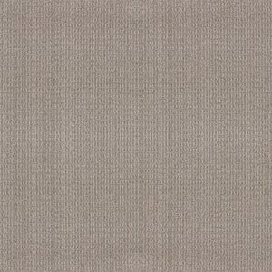 TUFTEX TUFTEX CLASSICS PORTOFINO POROUS STONE ZZ232-523