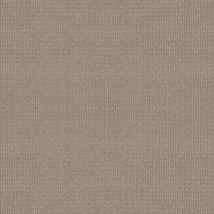 TUFTEX TUFTEX CLASSICS PORTOFINO PUMICE ZZ232-553