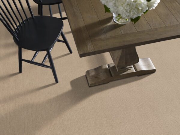 TUFTEX TUFTEX CLASSICS ONE MORE HOUR PALE ZZ233-123 Room Scene