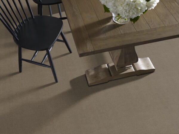 TUFTEX TUFTEX CLASSICS ONE MORE HOUR POROUS STONE ZZ233-755 Room Scene