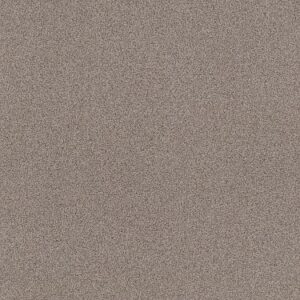 TUFTEX  PARK HILL DESERT LIGHT ZZ240-0575B