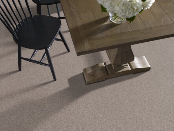 TUFTEX  PARK HILL DESERT LIGHT ZZ240-0575B Room Scene