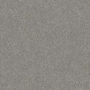 TUFTEX  TRAVERTINO TOO GRAY MATTER ZZ241-553