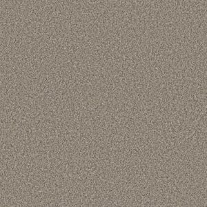 TUFTEX PET PERFECT PLUS KALEIDOSCOPE SANDY COVE ZZ255-110