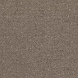 TUFTEX  SOLSTICE SHITAKE ZZ264-754