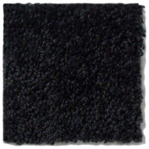 Shaw - Briceville - Coal Black