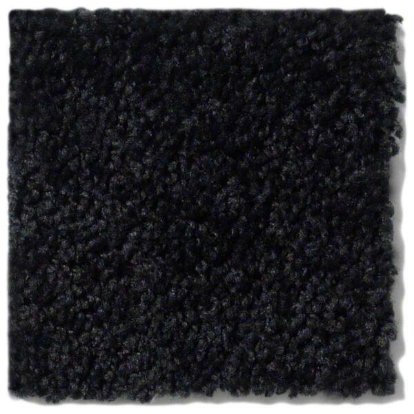 Shaw - Briceville - Coal Black