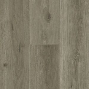Hartco Every Guard Classic plus Rigid Core Plank Curator Gray 7.87 in # EKEP70L07E