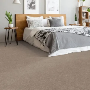 Dreamweaver Carpet Star struck