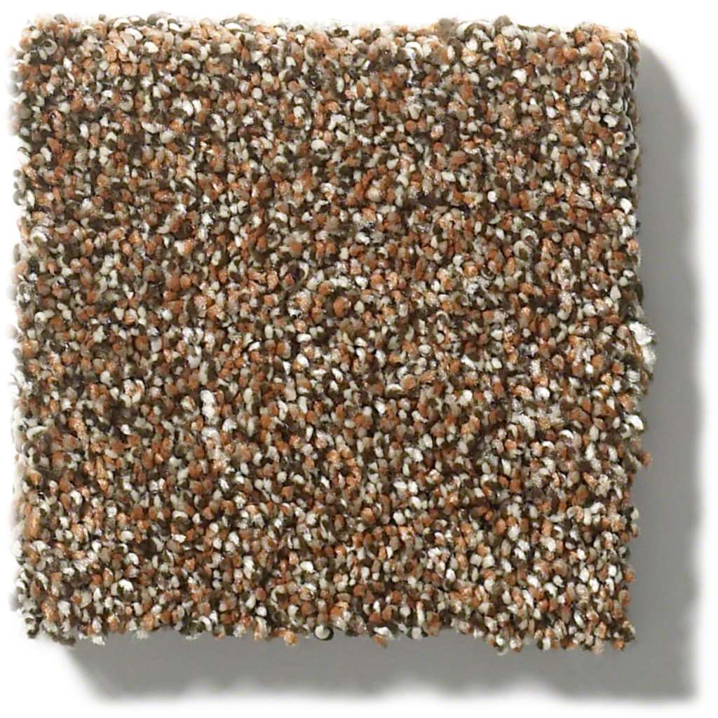 Shaw - Points of Color II - Bronze