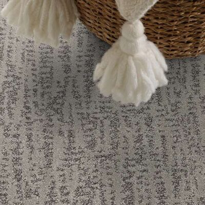 Shaw Pet Perfect Carpet
