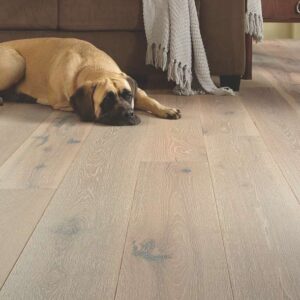 Shaw FH820 Exquisite Engineered Hardwood Flooring