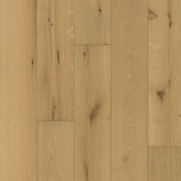 Mannington Monogram Engineered Hardwood Color: Latte MNG08LAT1