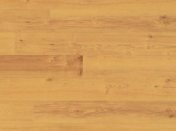 US Floors - COREtec Plus 5" - Norwegian Maple