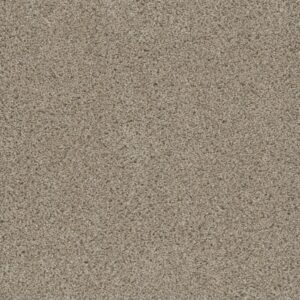 Dreamweaver Carpet Smart Squares Easy Street Oxford Carpet SQ105_720