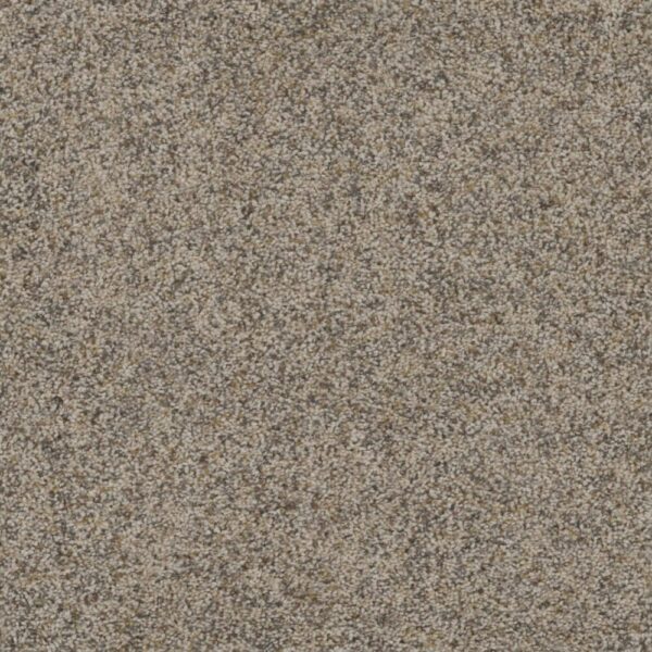 Dreamweaver Carpet Smart Squares Piece Of Cake Sandpoint Carpet SQ106_724