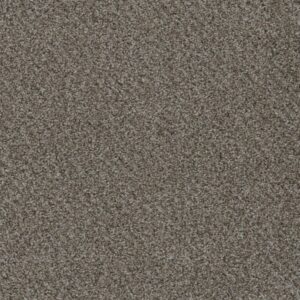 Dreamweaver Carpet Smart Squares Walk In The Park Lace Agate Carpet SQ107_377