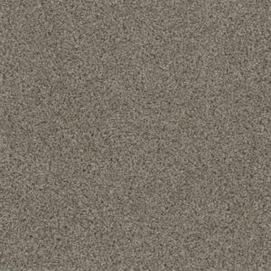 Dreamweaver Carpet Smart Squares Walk In The Park Granite Carpet SQ107_444