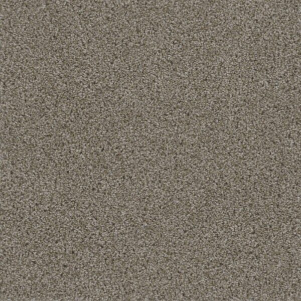 Dreamweaver Carpet Smart Squares Walk In The Park Granite Carpet SQ107_444