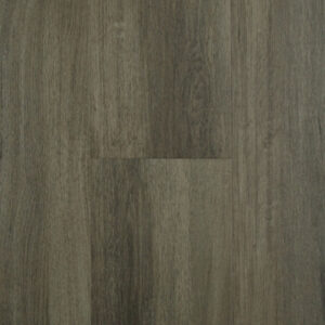 Chesapeake Rigid Core Water Proof Plank Essentials Plus CW1351 Park City