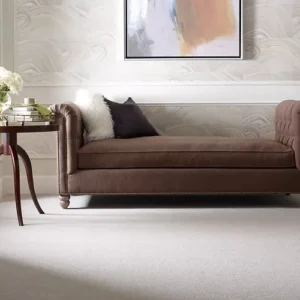 Karastan Infinite Touch Kashmere Carpet