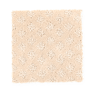 Mohawk - Design Inspiration - Seashell