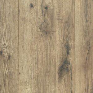 Shaw - Cades Cove - Paradise Beige