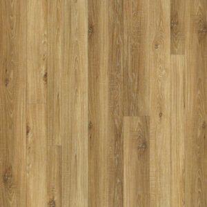 Shaw - Castle Ridge - Anneal